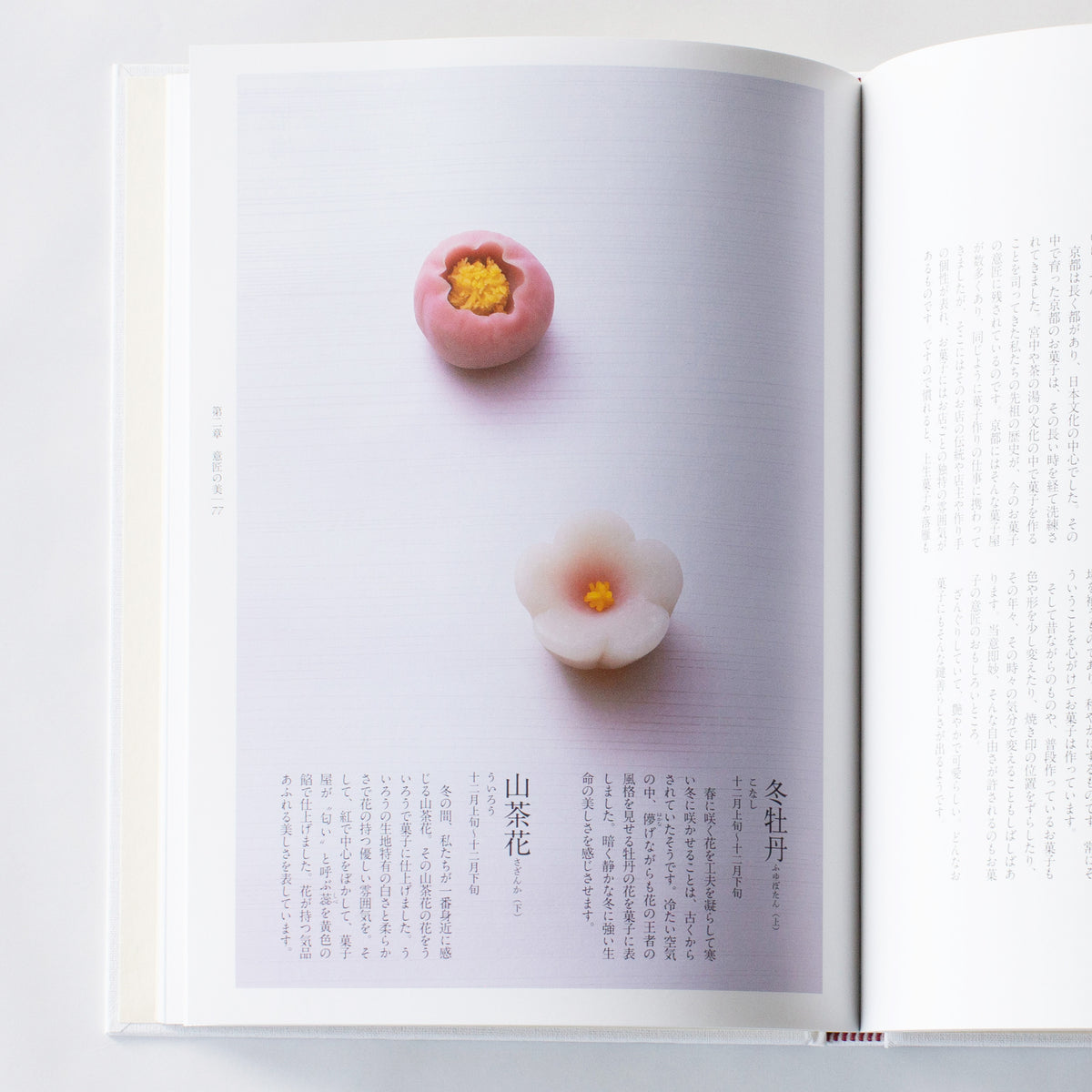 京のお菓子 (暮しの設計　118) th_IMG_7306_31e9b0a9-5cb0-4fae