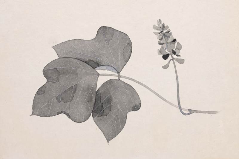 鈴木悦郎デザイン